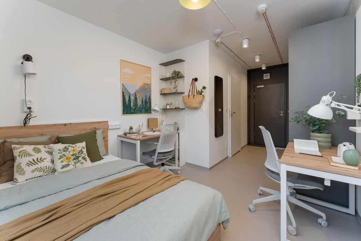 Krak__w_StudentSpace___premium_room_double.webp