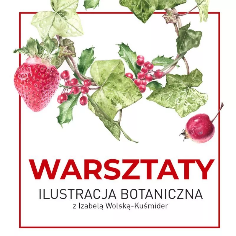 grafika warsztaty ilustracja botaniczna