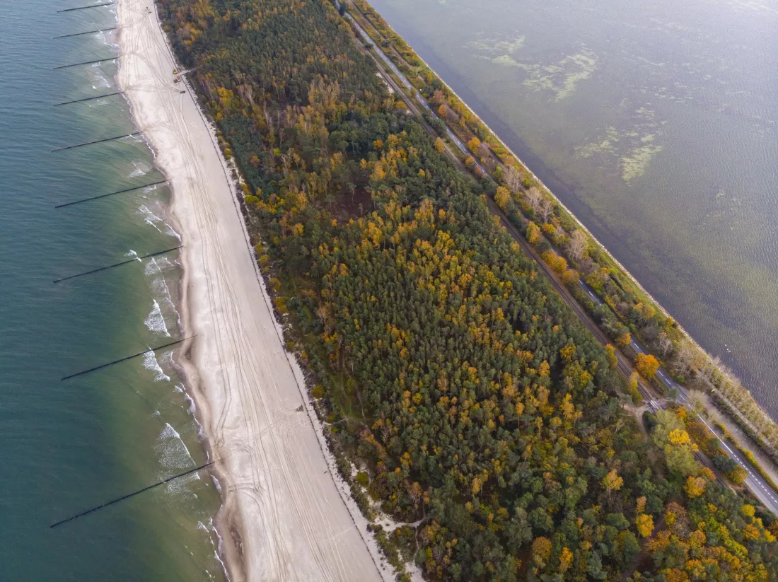 Mierzeja Helska z lotu ptaka – las, plaża i Bałtyk