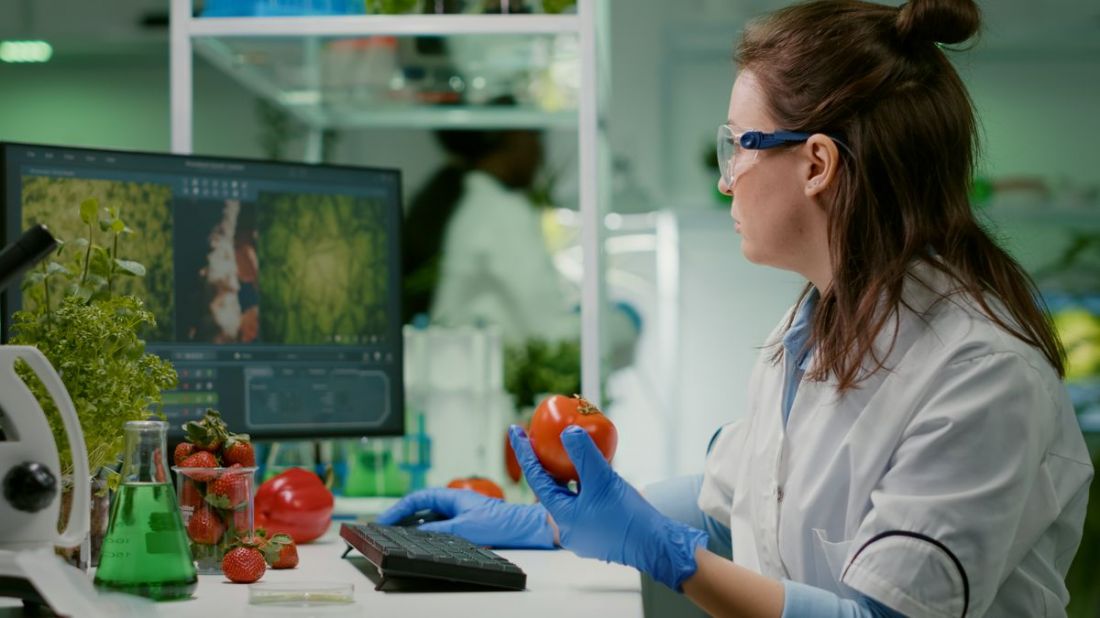 Food Technology and Human Nutrition - master studies at URK