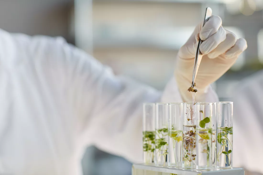 biotechnologia