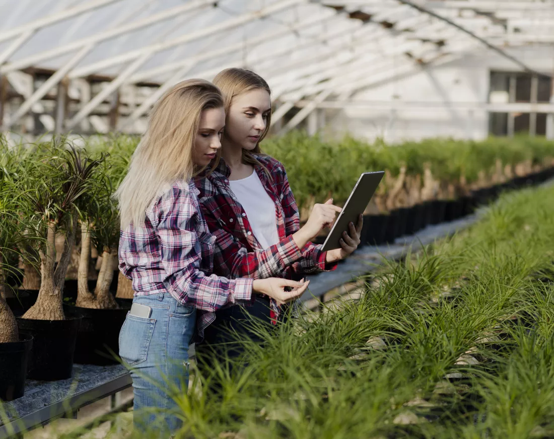 Bioeconomy