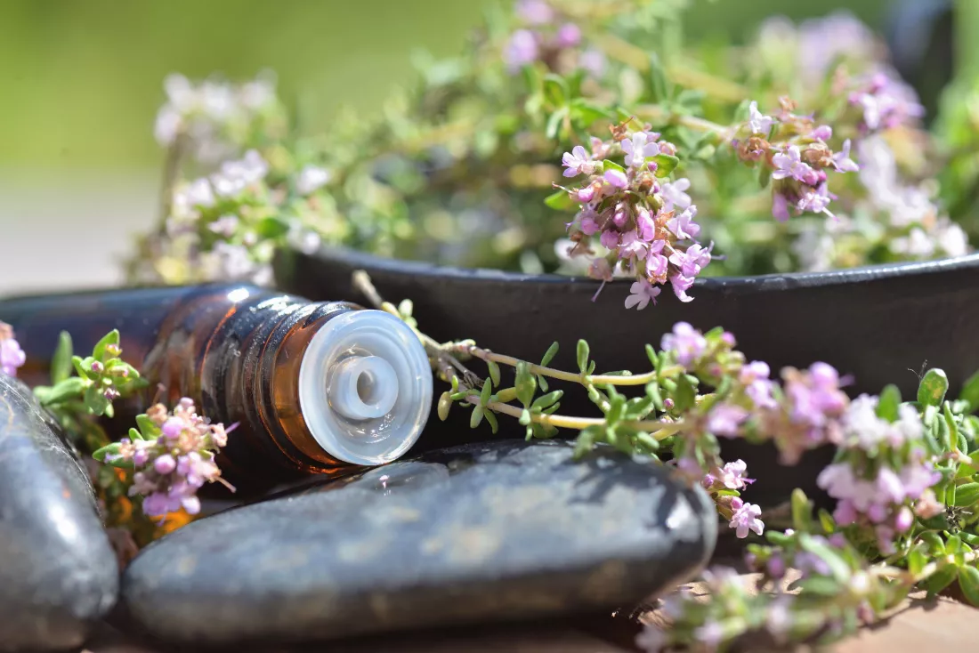 Naturoterapia w praktyce - holistyczne podejście do zdrowia