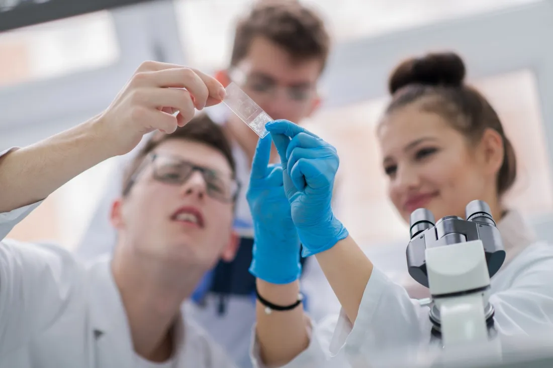 Studenci w fartuchach i rękawiczkach badają próbki w laboratorium
